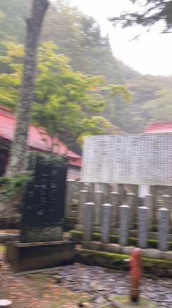 群馬沼田迦葉山で天狗と遭遇　がんばれこぐれやの記事動画