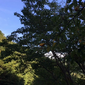 きみの町はどんな町？？の画像