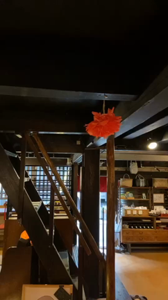息づいた日の記事動画