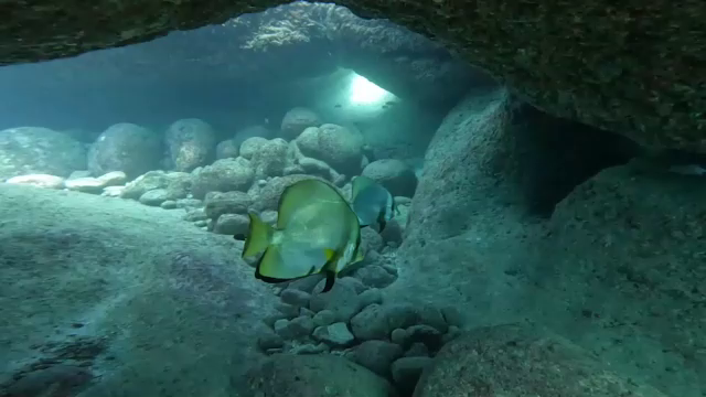 中性浮力とリラックス効果の記事動画