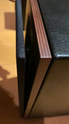 注文していたsonus faber LUMINA I が到着しましたの記事動画