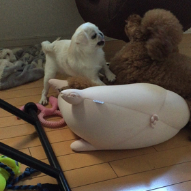 朝からの画像