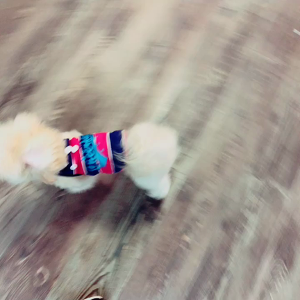 オフショット٩( 'ω' )وの記事動画