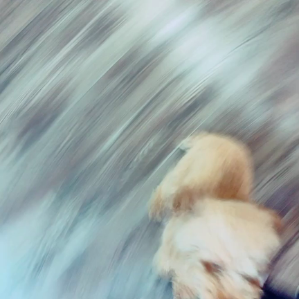 オフショット٩( 'ω' )وの記事動画