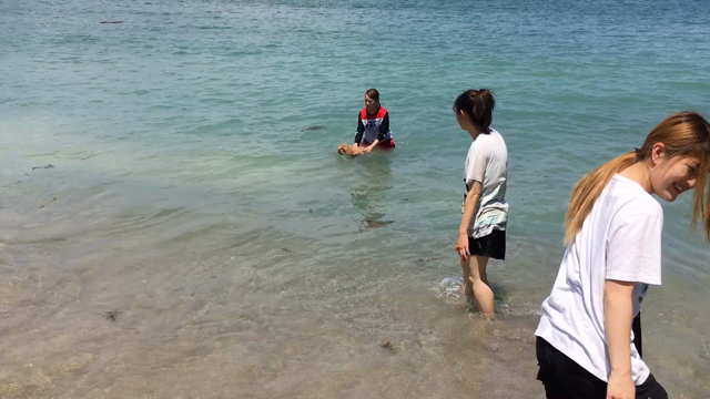 トリミングスクールの記事動画