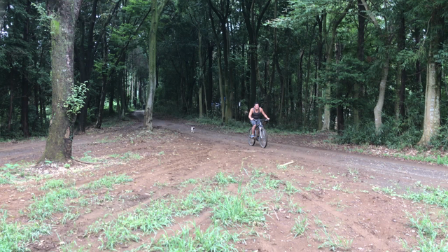 9.3の記事動画