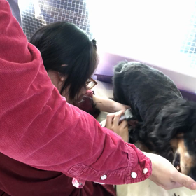 移動サロンカーを利用して不要な外出を減らそうの画像