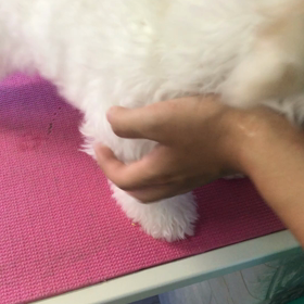 特権だよねの画像