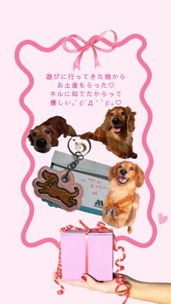 Instagramのストーリーに今さらハマるアラフォー♡の記事動画