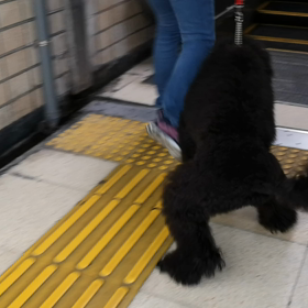 この世の怖いことの断捨離の画像