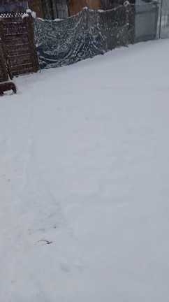 降りましたねの記事動画