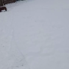 降りましたねの画像