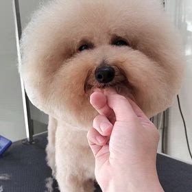 まんまる！の画像