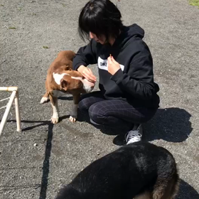 お久しぶりですの画像