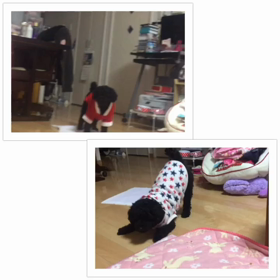遊ぼっ♪の画像