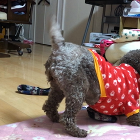 合掌の画像