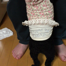かわゆっ♪の画像