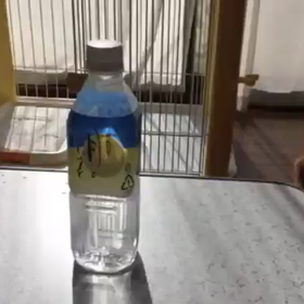 月のしずくの画像