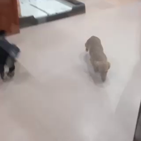 こわいよの画像