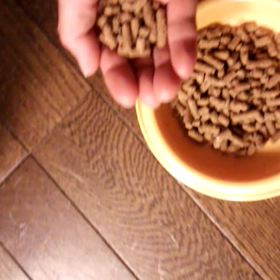 ママの手のひらから食べると幸せの画像