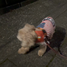6/24の画像