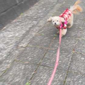 3/13の画像