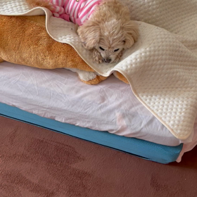 1/23の画像