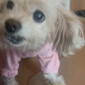 1/10 食べられないの画像