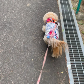4/25の画像