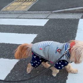12/22の画像