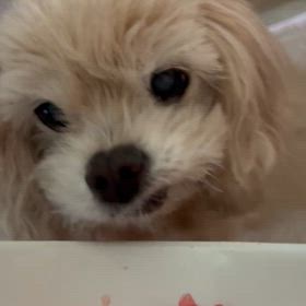 8/24の画像