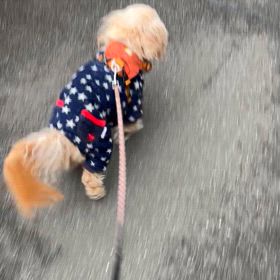 3/15の画像