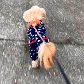 2/3の画像
