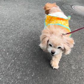7/11の画像