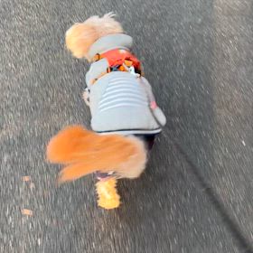 1/11の画像