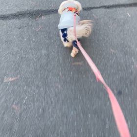 2/8の画像