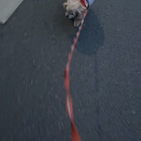 5/21の画像