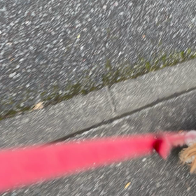 1/24の画像