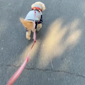 2/8の画像