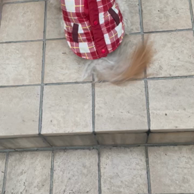 4/1の画像