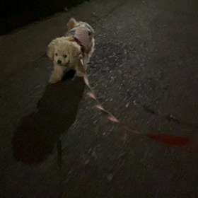 8/20の画像