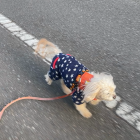 12/28の画像