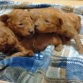 開眼✨の画像