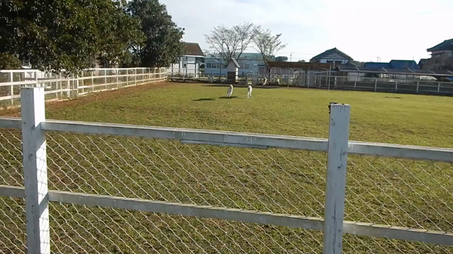 たくさんいても大丈夫の記事動画