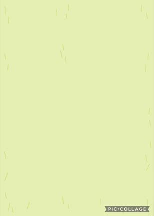 DOGXDOG ふくくんの記事動画