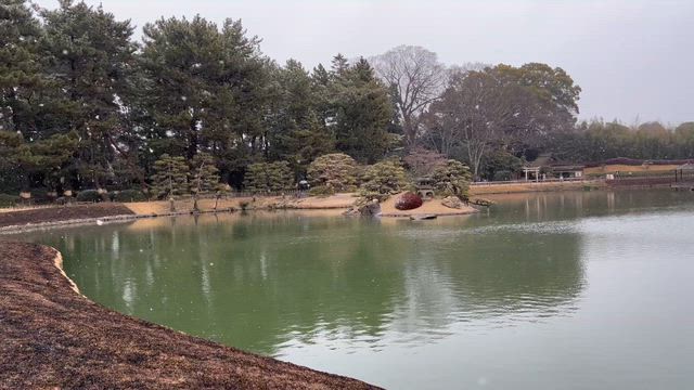 雪の後楽園の記事動画