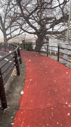 雪の後楽園の記事動画