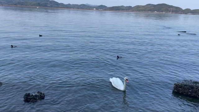米子〜鳥取公演の記事動画
