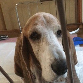 怒ってます。の画像