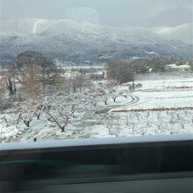 盛岡出張の画像